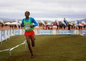 Diana Martín y Alemayehu Bezabeh, plata y bronce en Soria